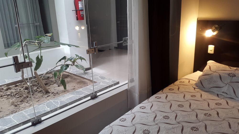 La Lisera Suite Residencial 塔克纳 外观 照片